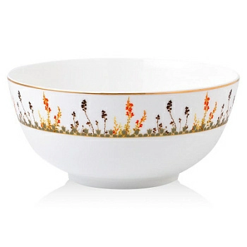 Полноразмерное изображение Полноразмерное изображение